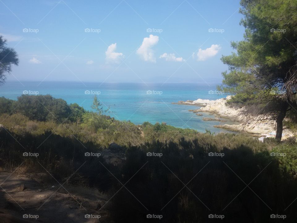 View from forest to the beach