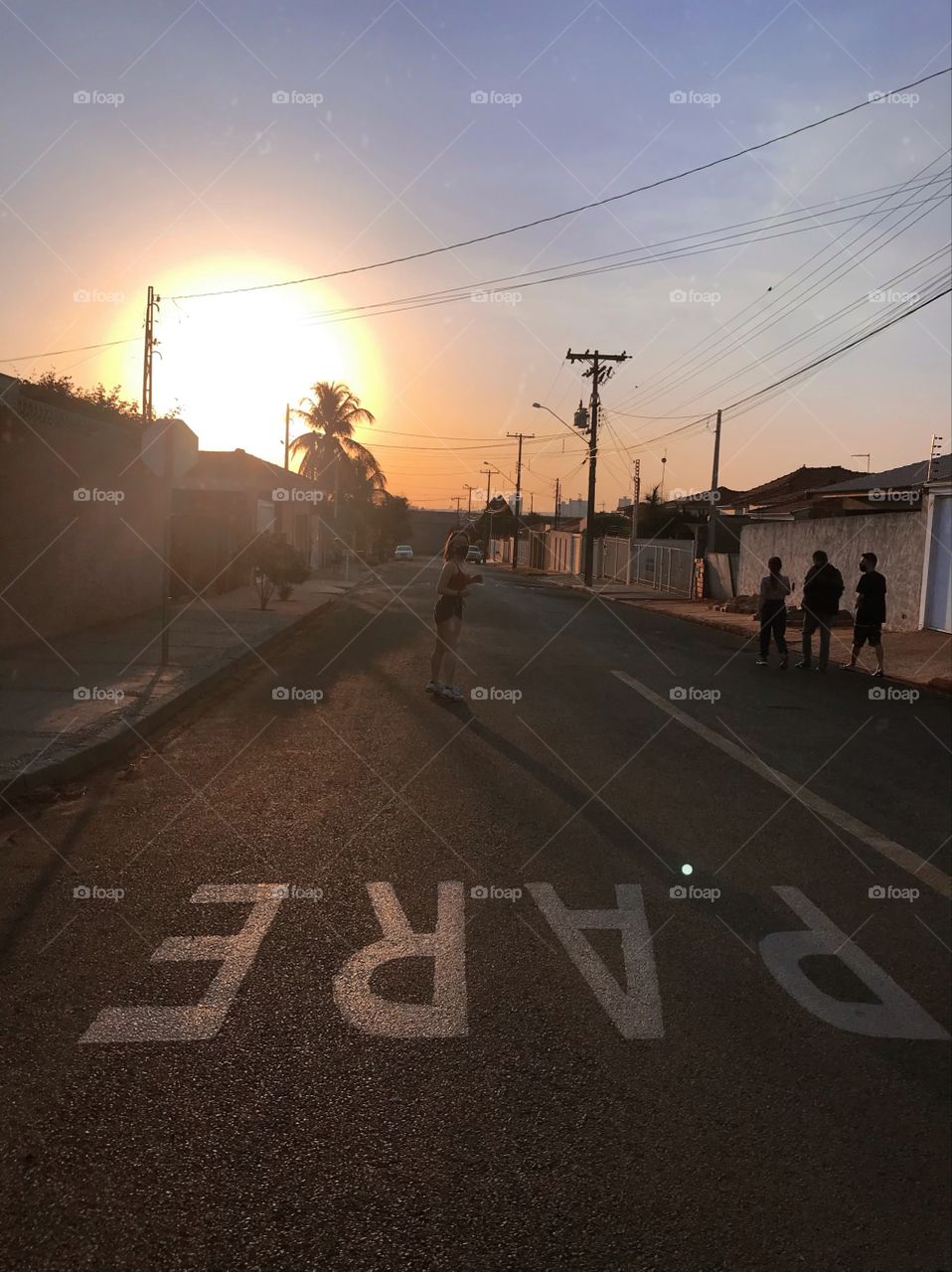 Late afternoon walk time