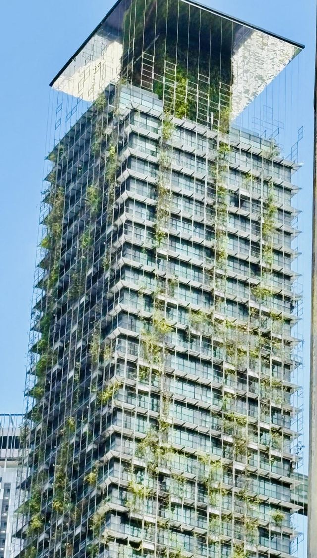 Edificio 
