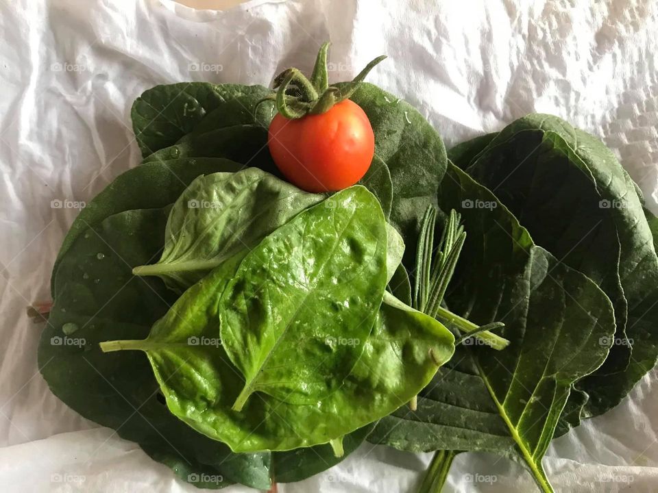 Spinach, basil and tomatoes