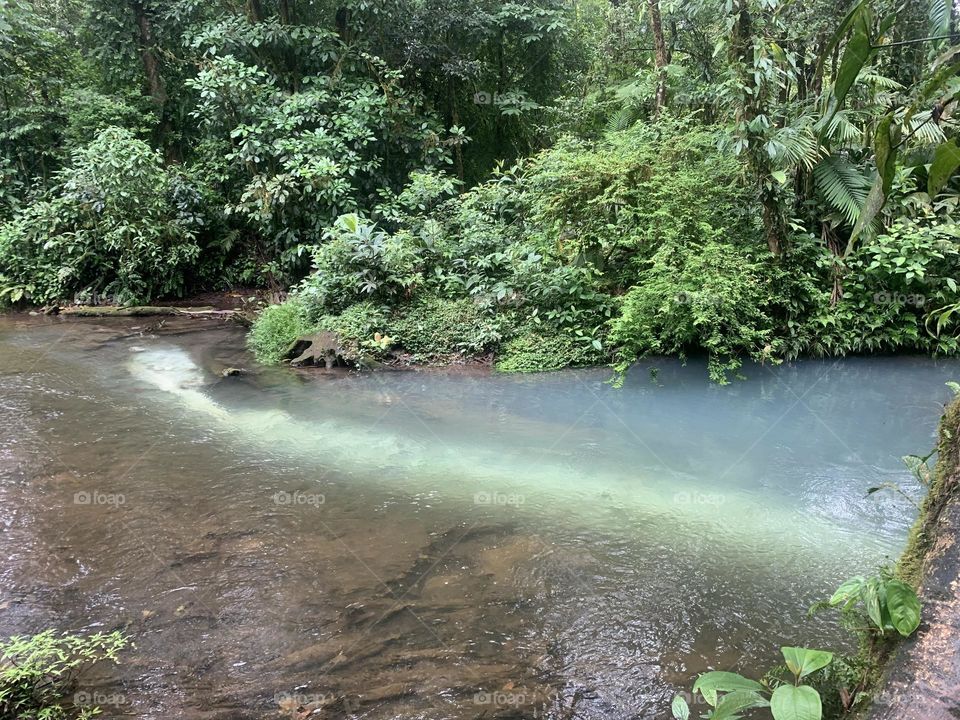 Fresh water meets sulfur and makes a clear division in the stream. 
