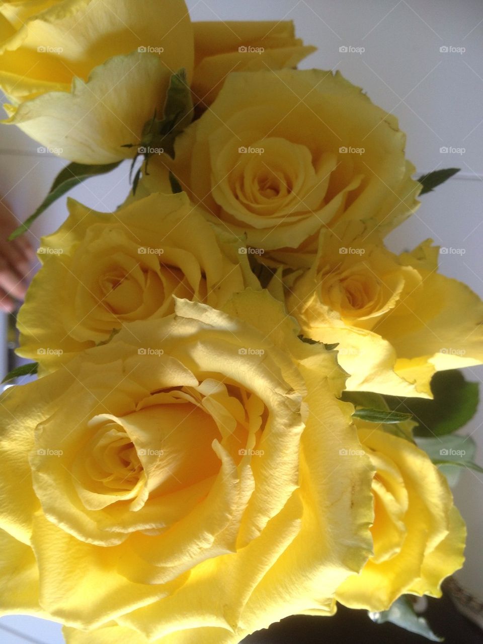 Enjoy Yellow Flower