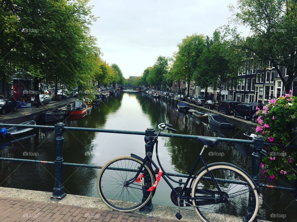 Lone bike chained near a canal in Amsterdam 
