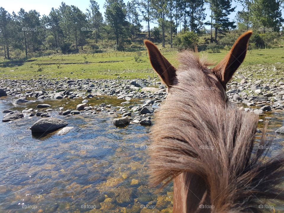 riding a horse crossing natural river