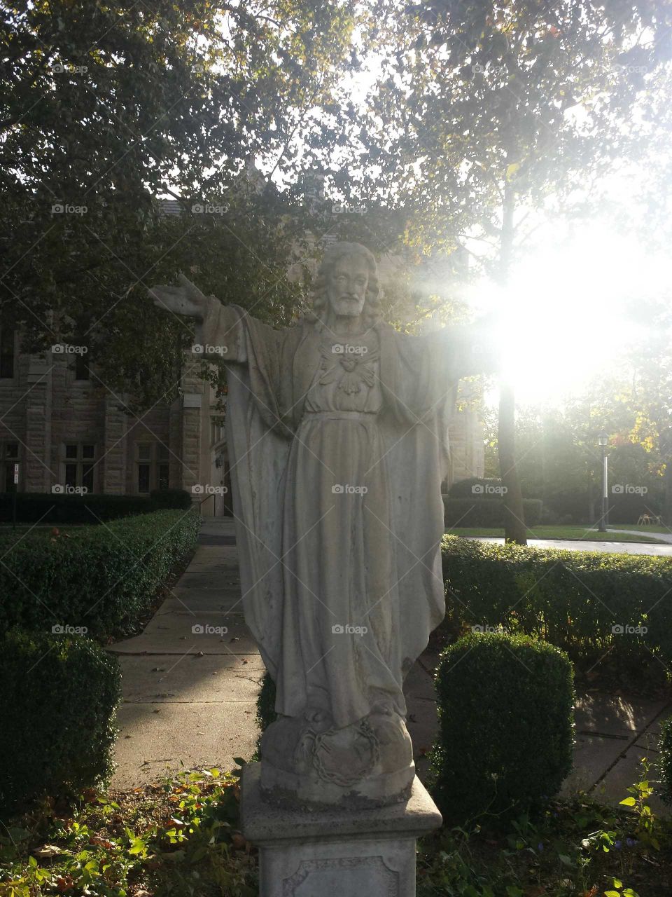 Jesus in the Garden