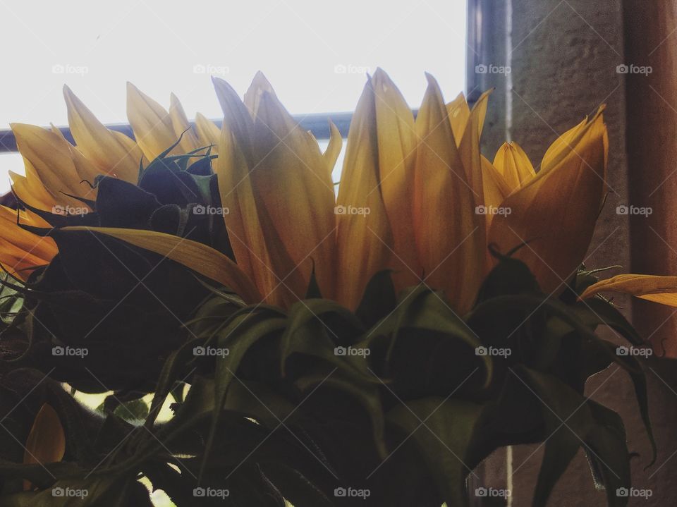 God has woken us up to a bright cheerful day! 