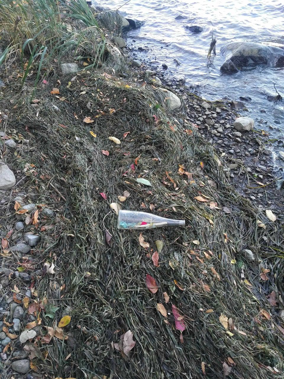 Message in a bottle.