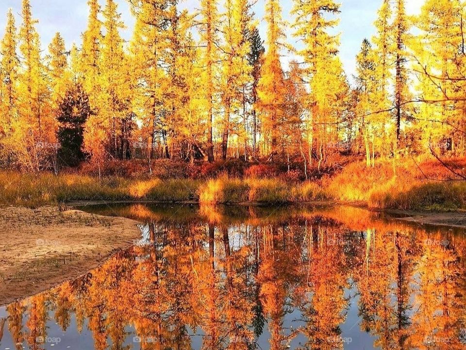 Осеннее настроение