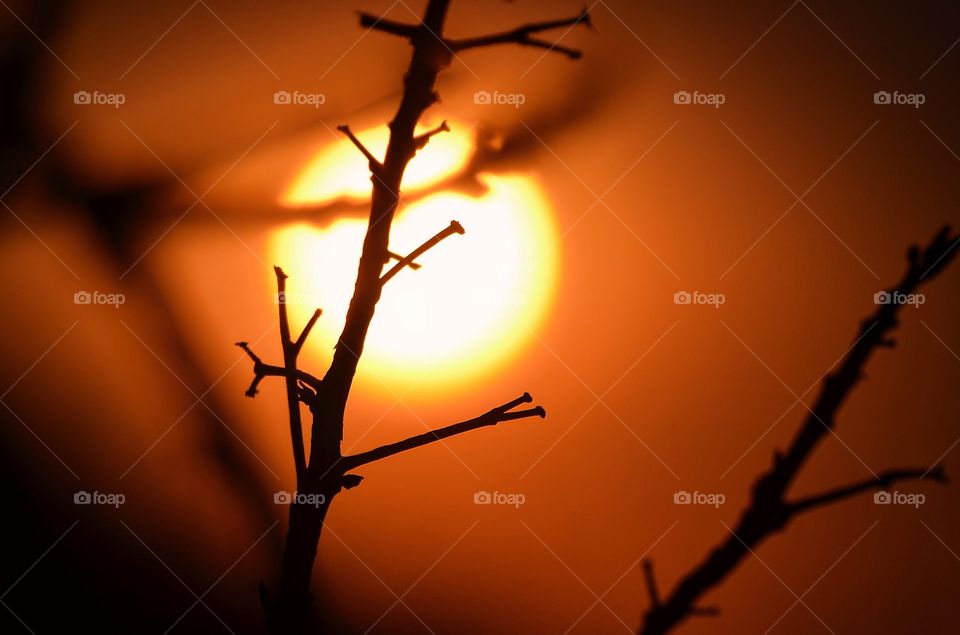 Since my perspective 