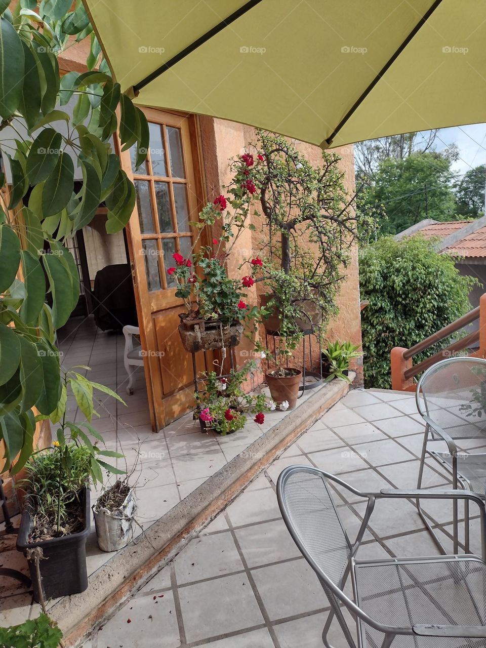 puerta de entrada en la casa