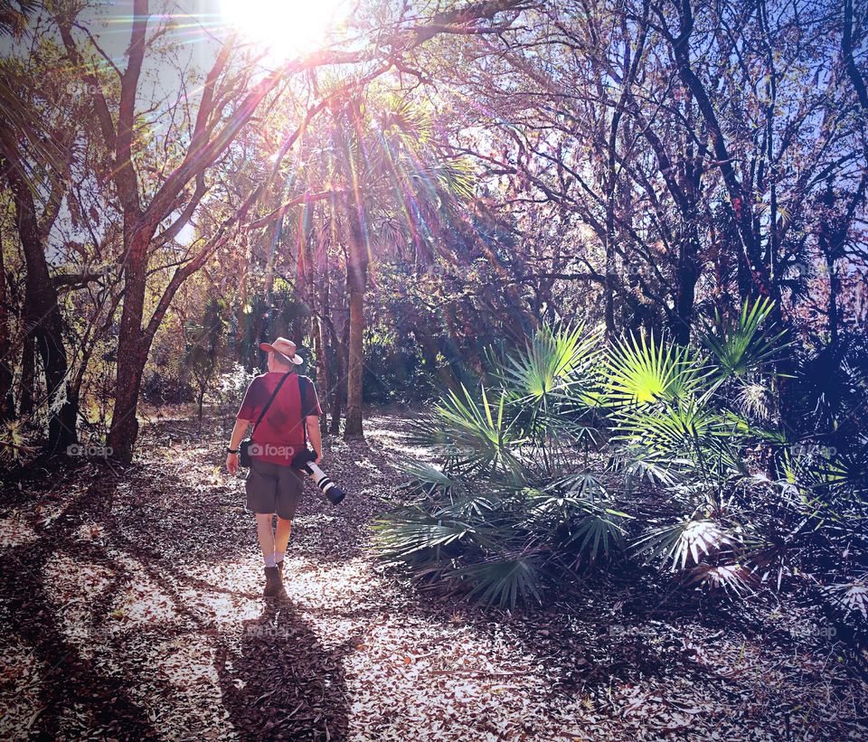 A photographer steps into the forest bathed in rainbow sun rays.