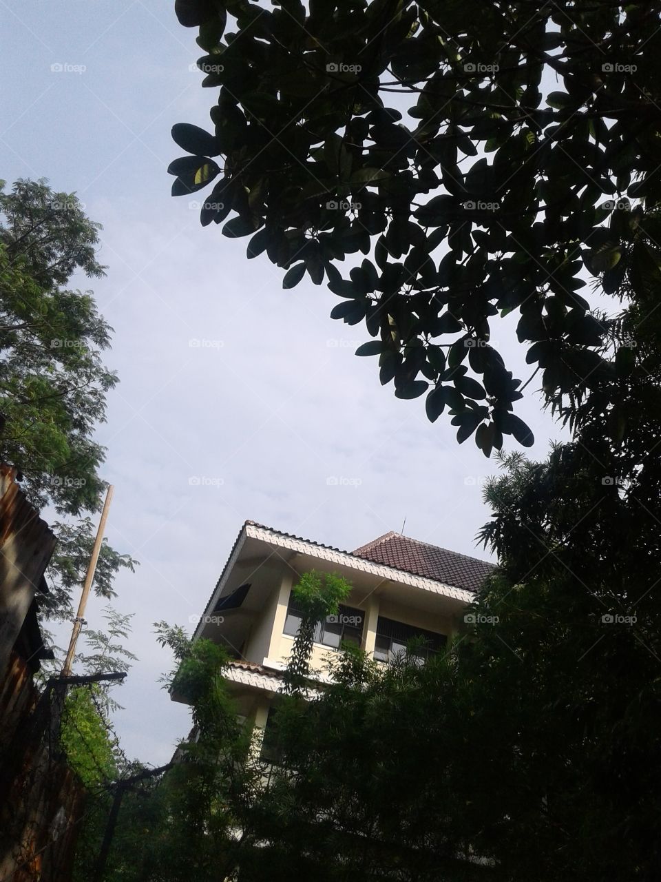 the sky in the afternoon