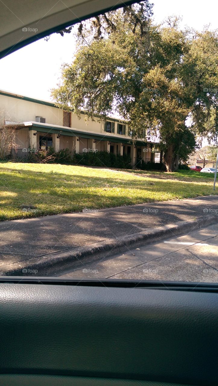 Road, Tree, Car, Street, Guidance