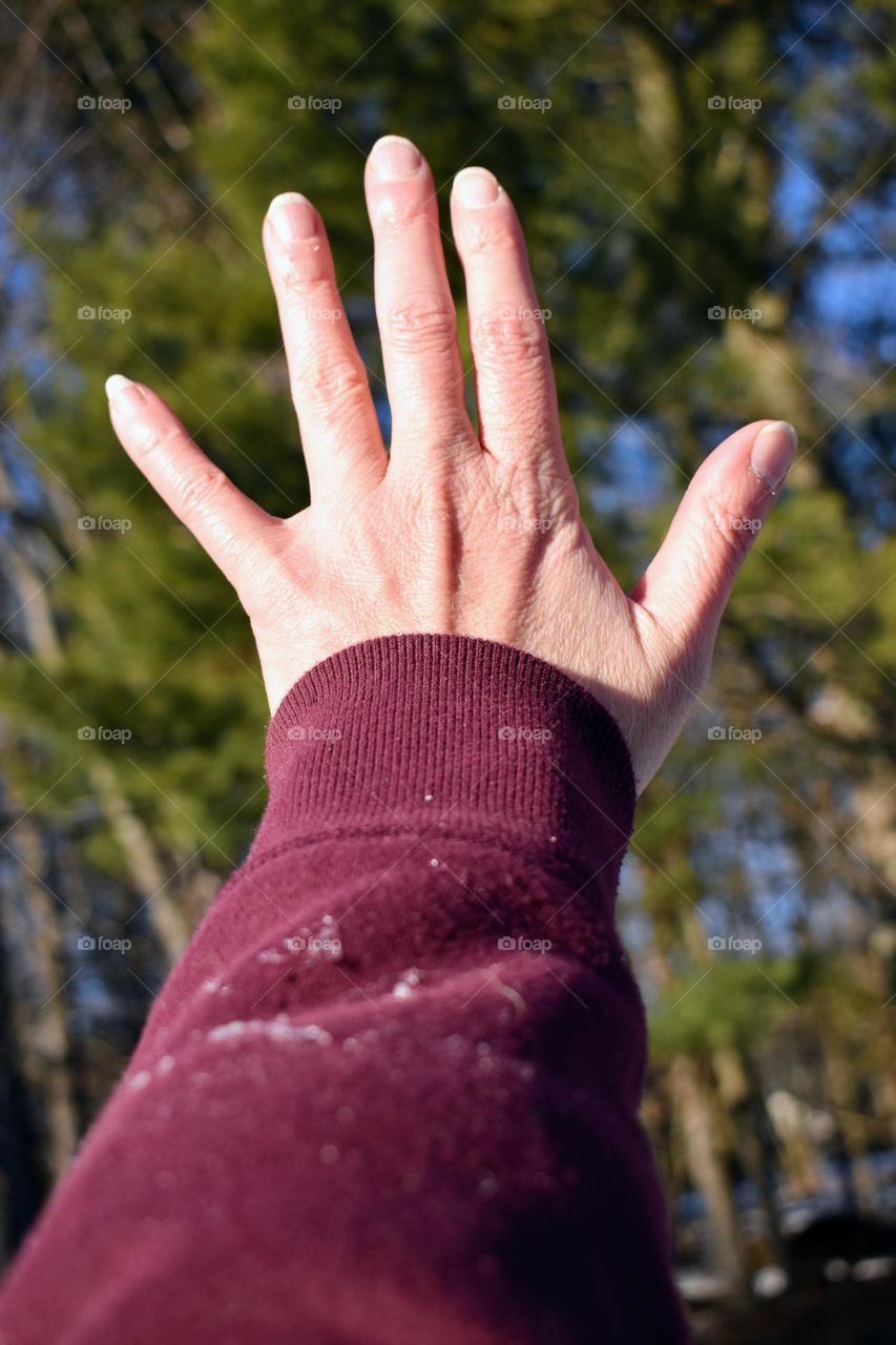 Viva magenta in the sunlight