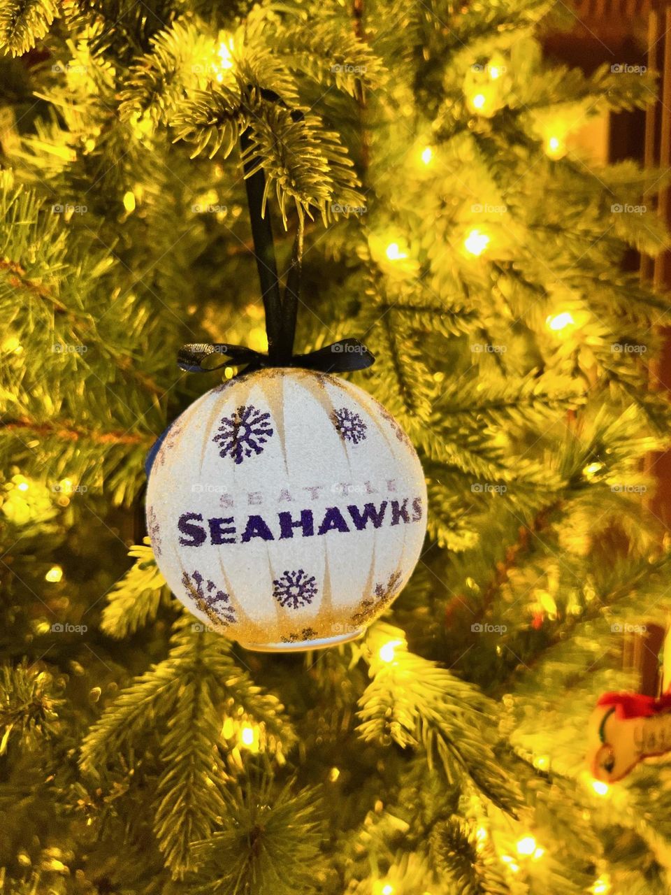 Sports Ornament on a tree 