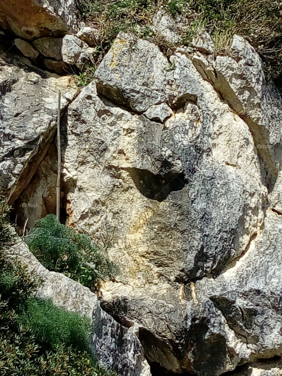 happy rock