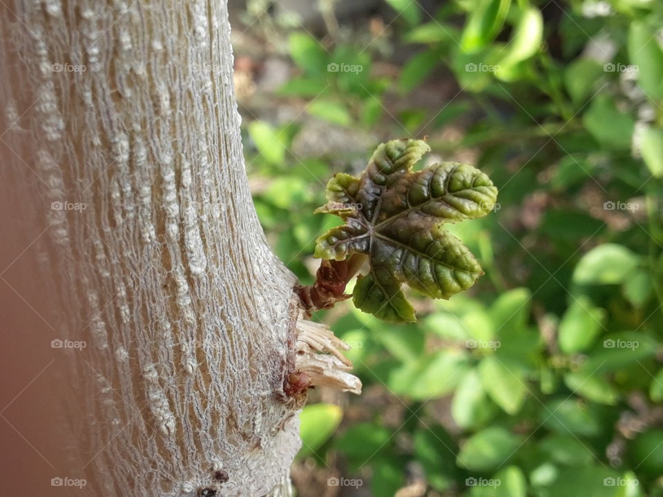 There is a way always!!!