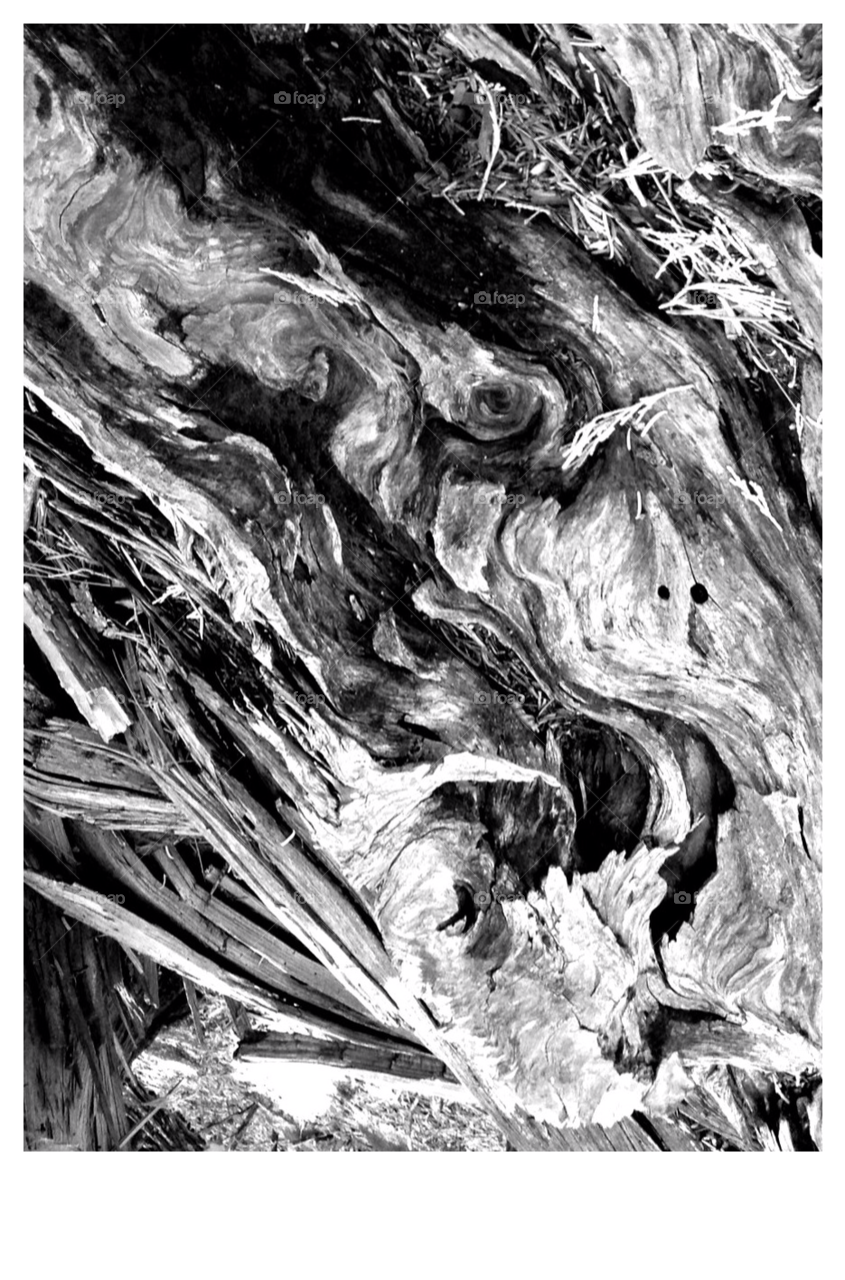 black and white imagination hidden face patterns within wood by stevehardley7