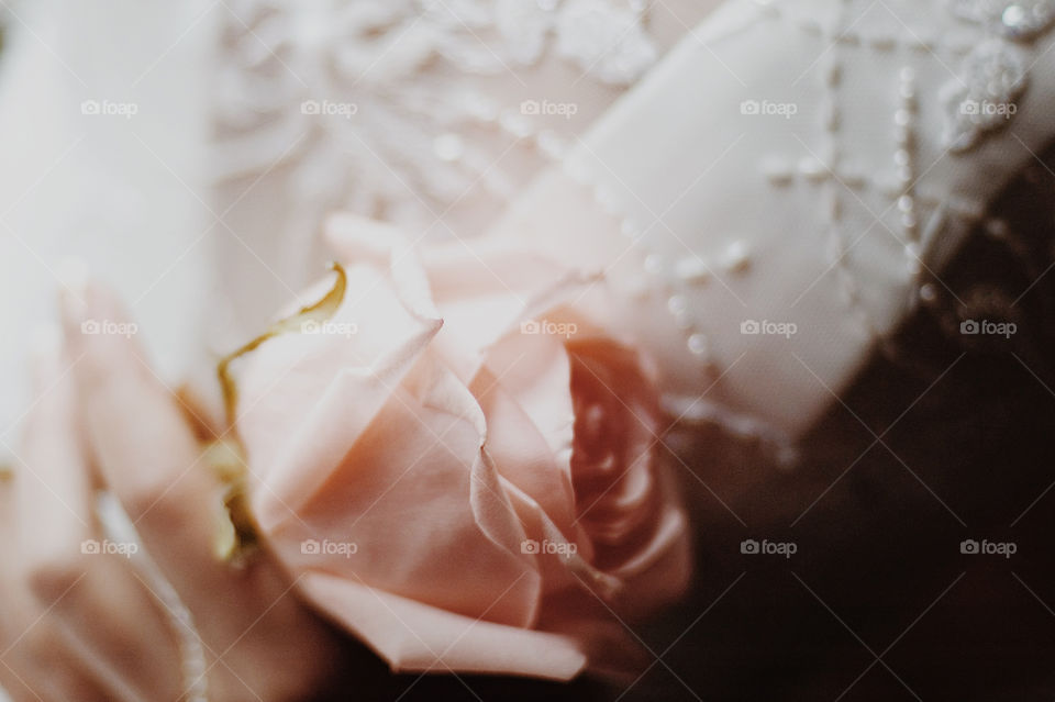 Bride holding rose