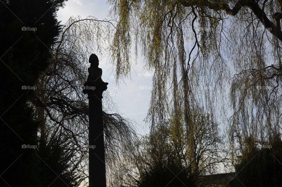 branches in light breeze