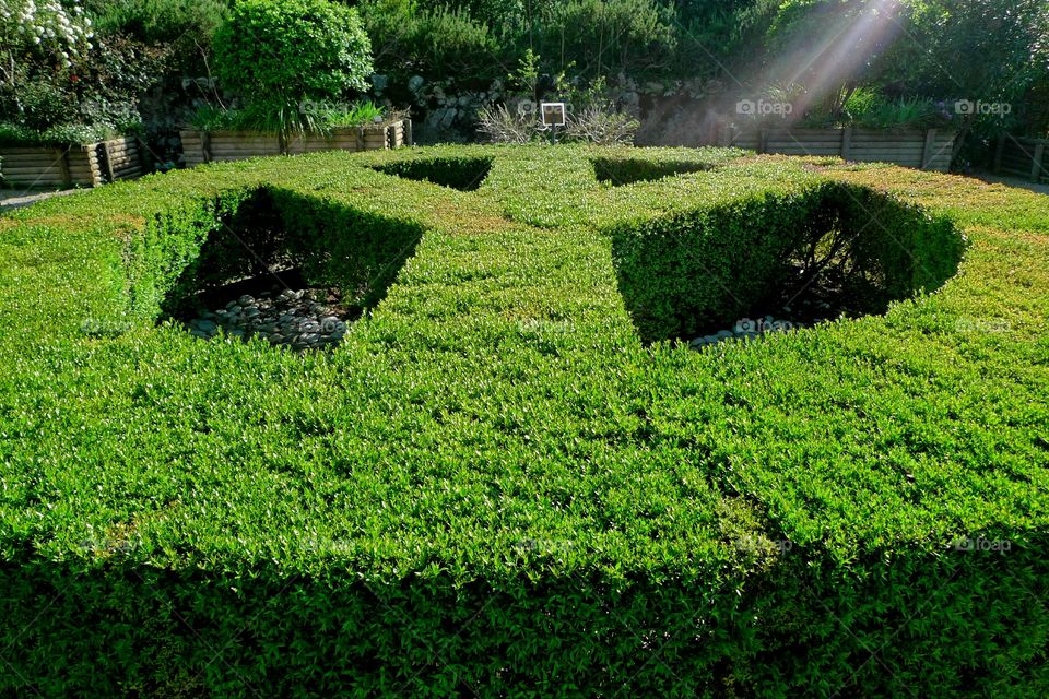 peace sign made of boxte in the Botanical Garden of Soller, Mallorca, Spain