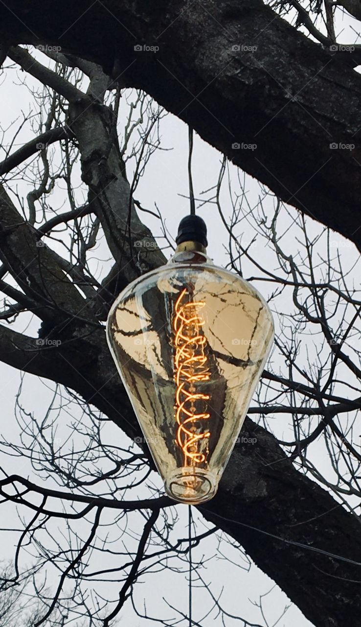 A vintage retro light hangs in a bare tree on a cold winter day. 
