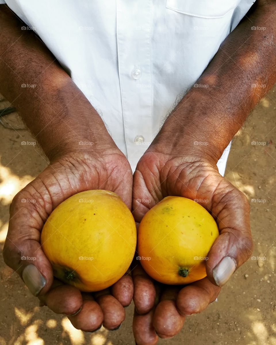 Person holding yellow fruits