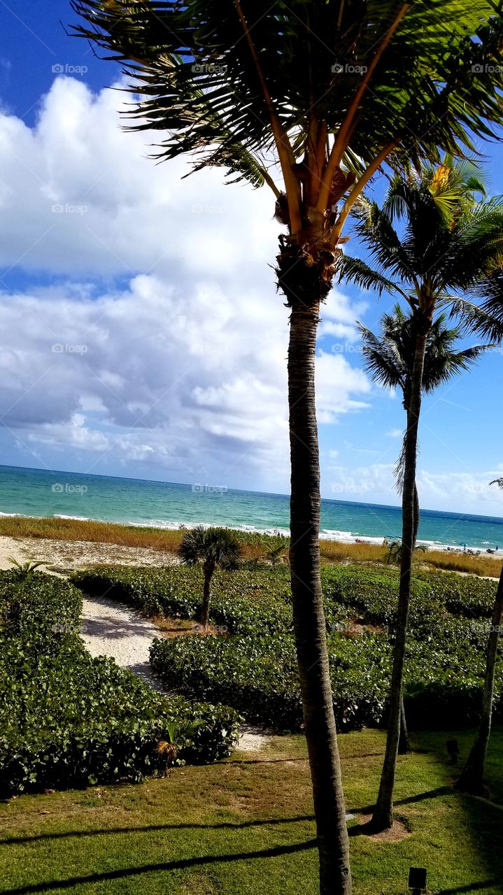 Fort Lauderdale Beach January 1, 2019