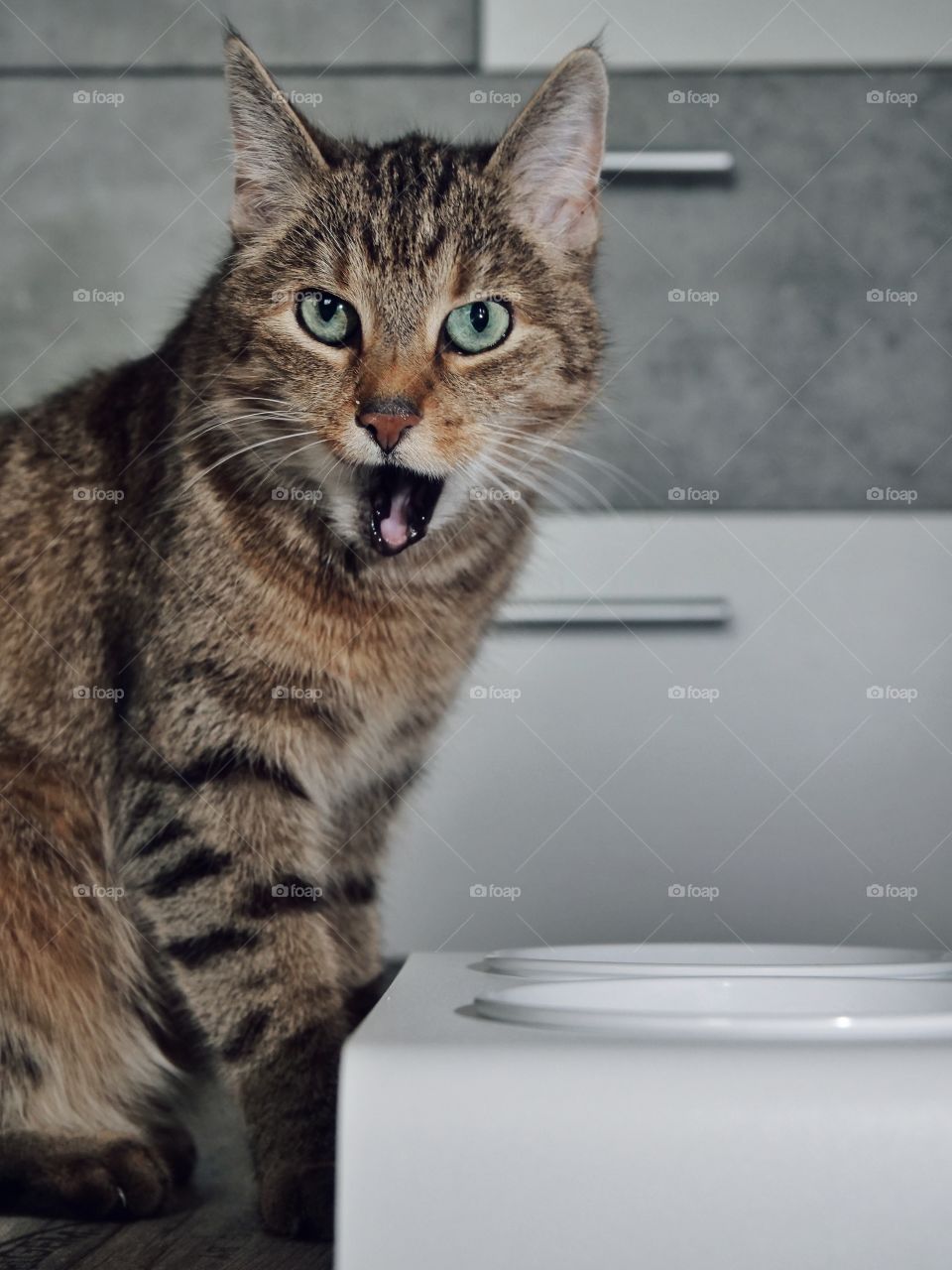 LucyBalu Duo Dining Station