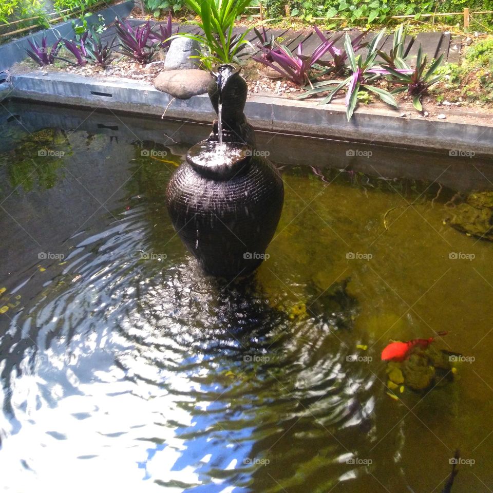 Beautiful pond on the park