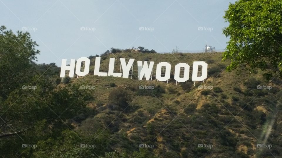 Hollywood sign