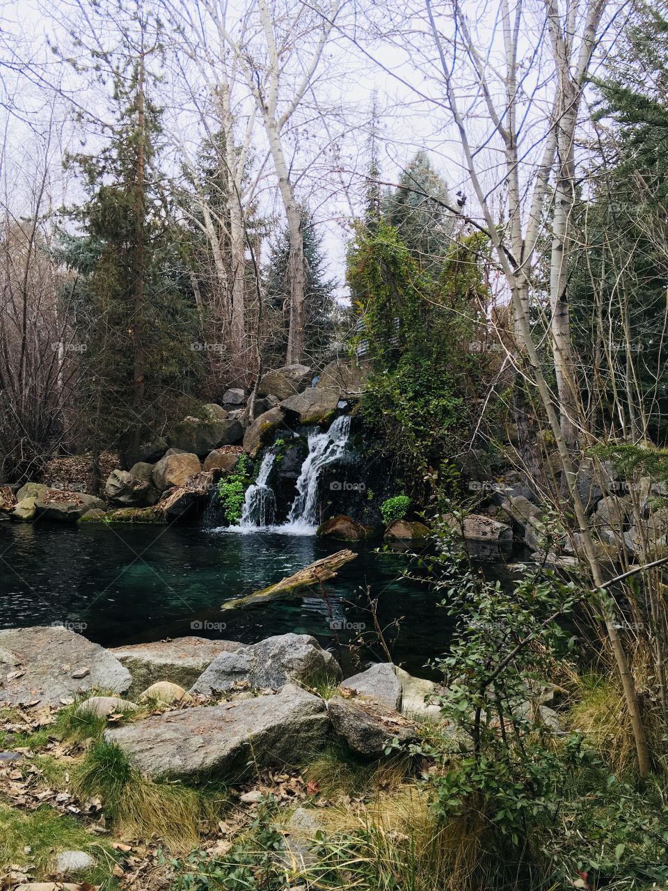 Waterfall pond 