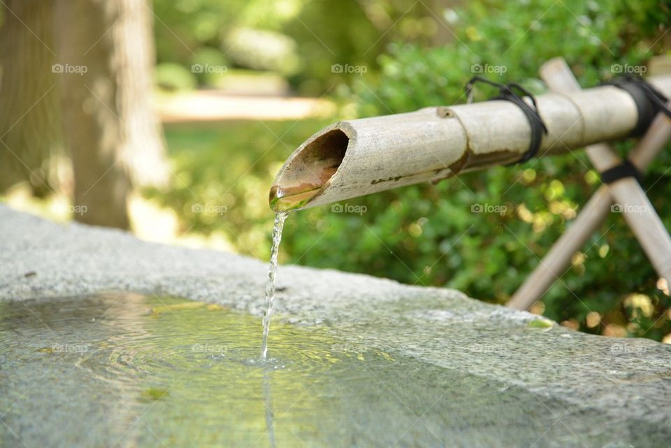 Japanese Fountain