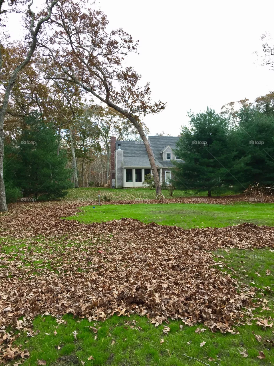 Fall 