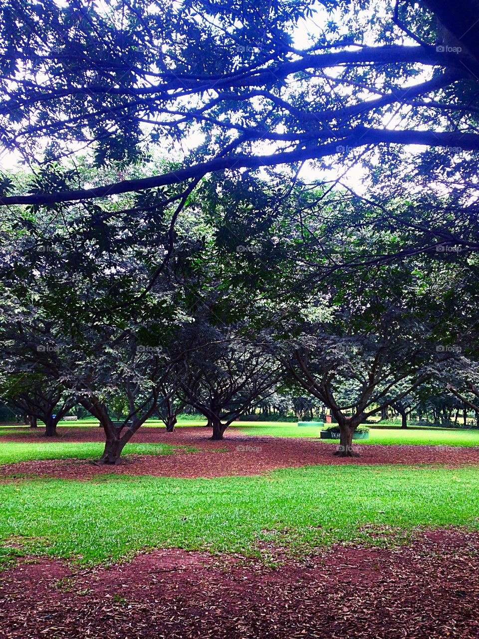 Scenic view of landscape