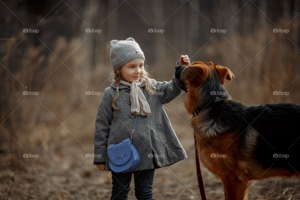 Little girl with German shepherd young male dog walking outdoor at spring day