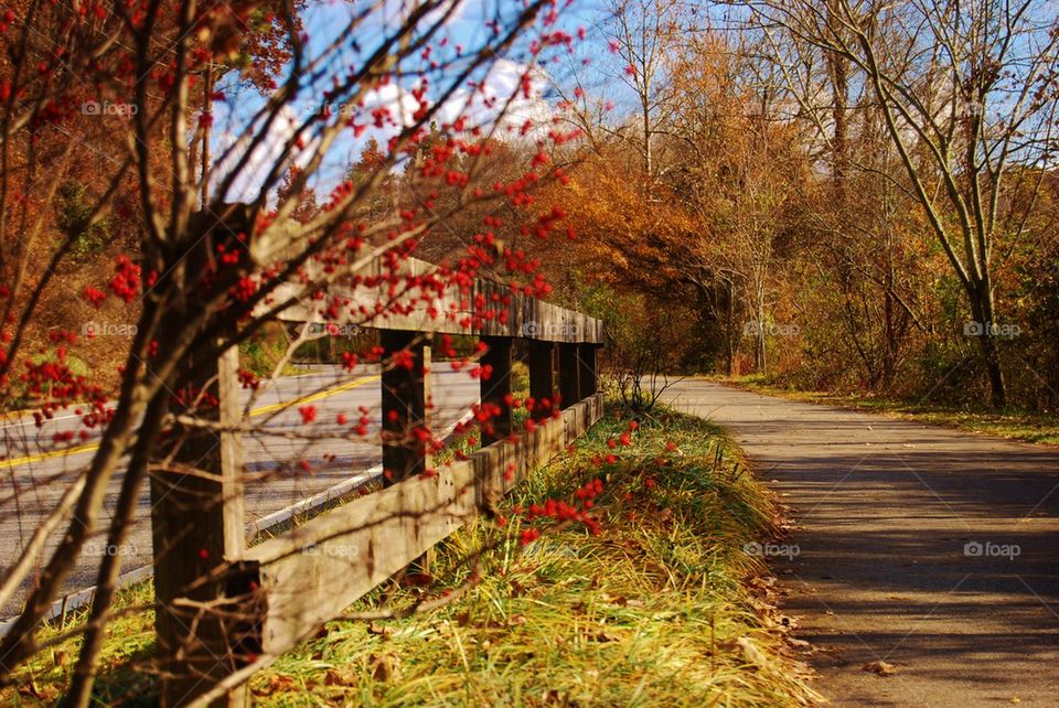 Walking Trail