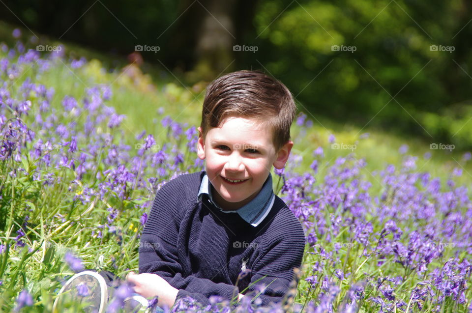 Boy in the bluebells 