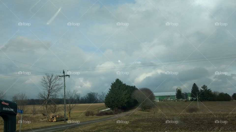 Landscape, Tree, Daylight, Farm, Road