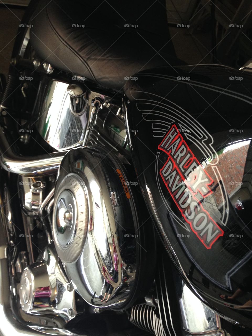 Harley love. Harley Davidson Soft tail custom