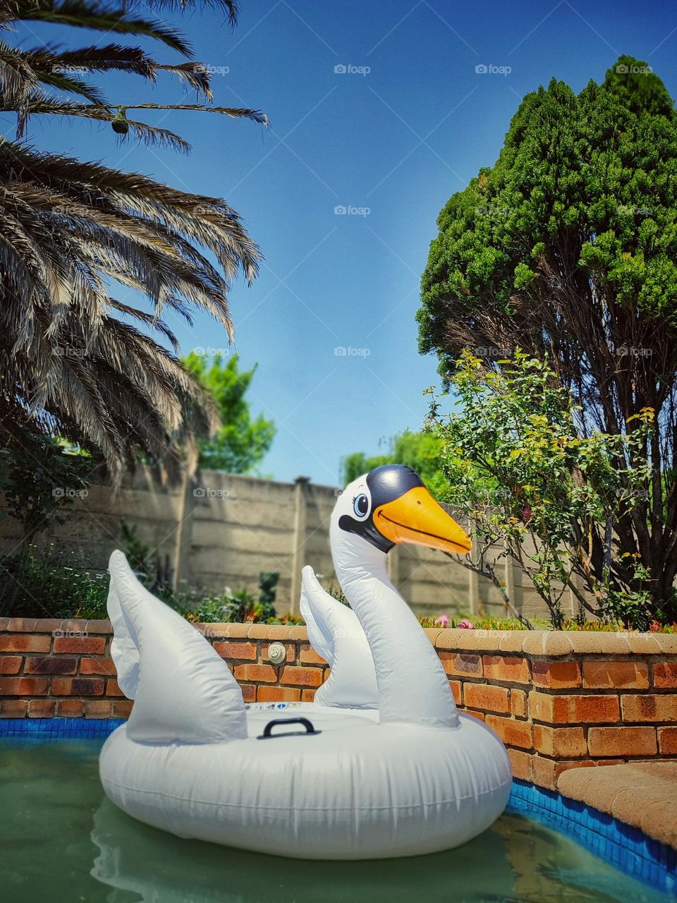 Inflatable Pool Float, Swan