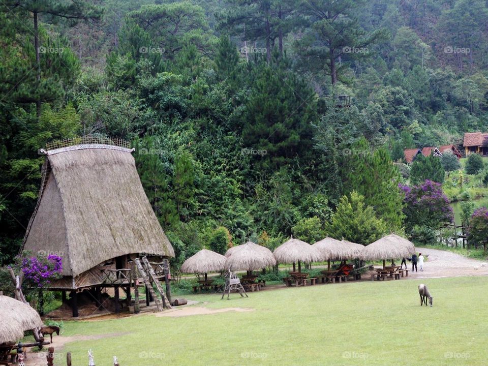 Stilt house