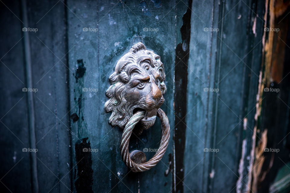 Loin knocker on front door