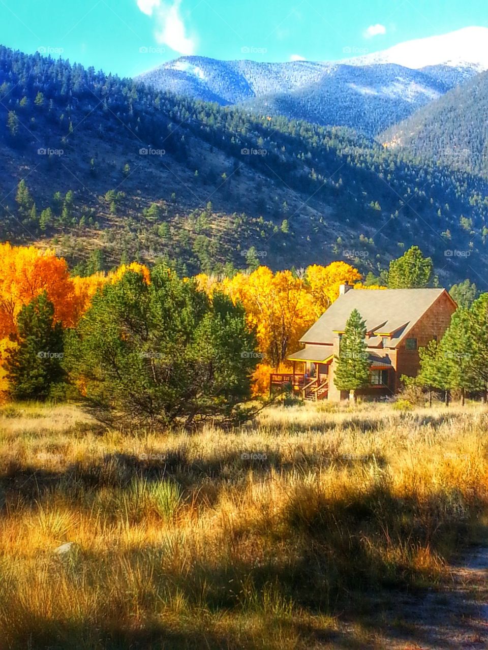 Colorado Cabin