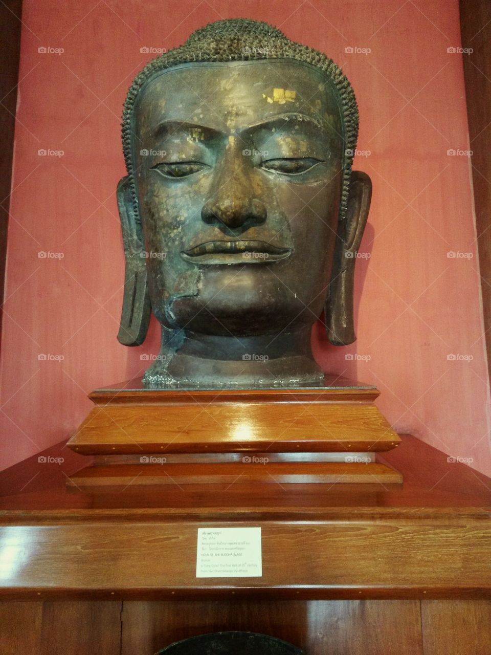 buddha head. buddha head, statue, religion, faith, believe