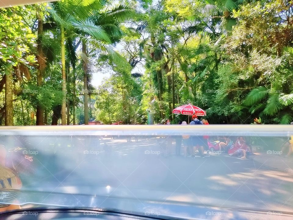 grass entrance city scene parrot graphic feed colorful beautiful little trip activity savannah fur tourism farm holiday childhood monkey funny natural cage zebra garden fauna toddler lion tiger pet baby tree animals bird forest elephant vacation char