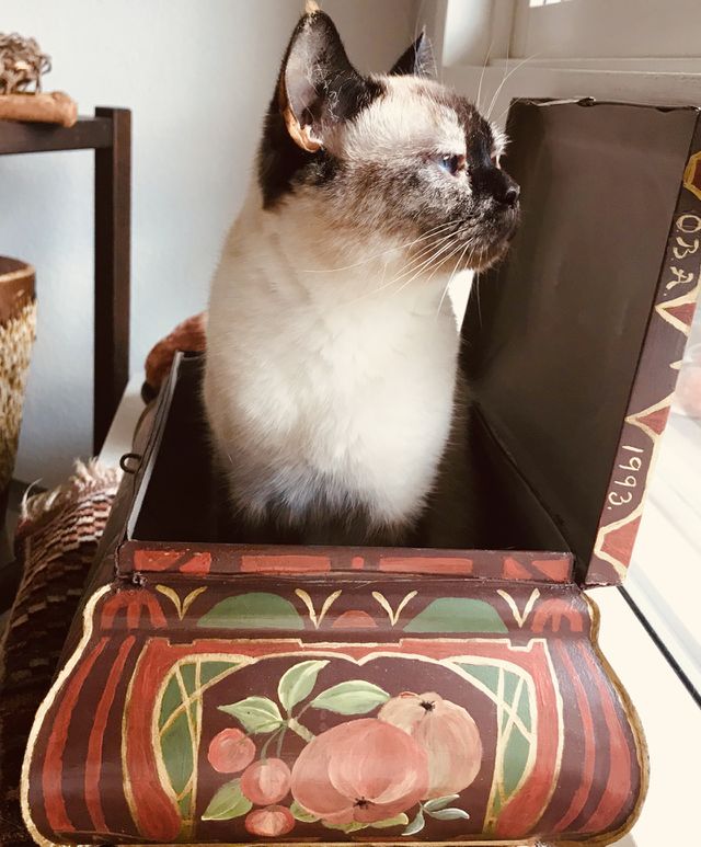 Funny place to sit