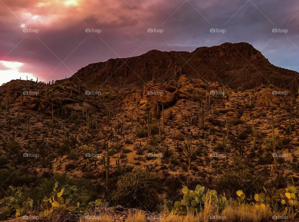 Desert Mountain Landscape 