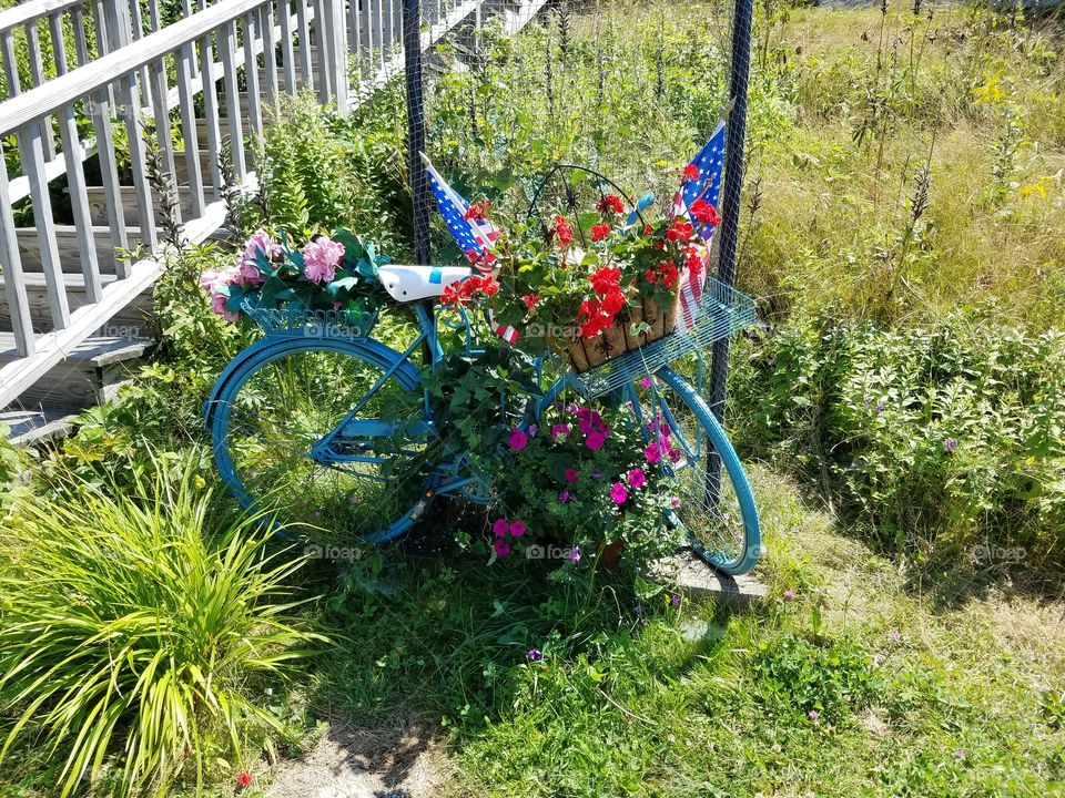 Bike, Bailey Island, Maine