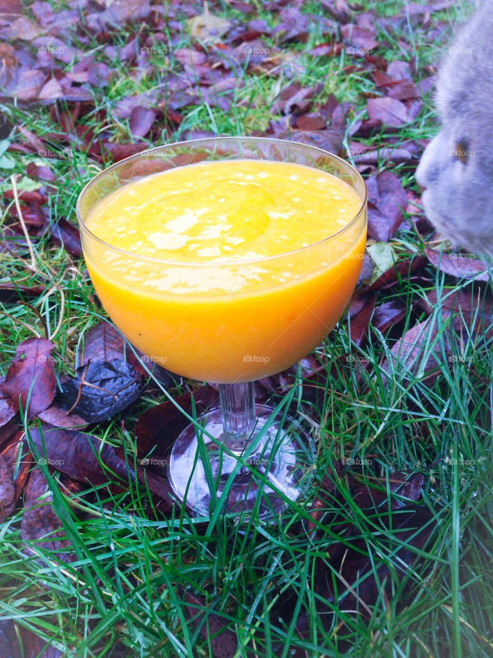 mango smoothie